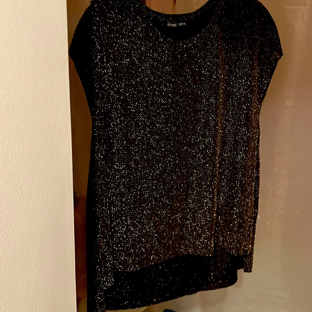 New w/o tag.  Zara sparkling women’s top short sleeved high-low hem raw edged.